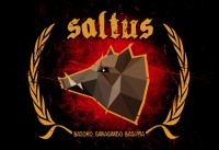 saltus_14690857139288